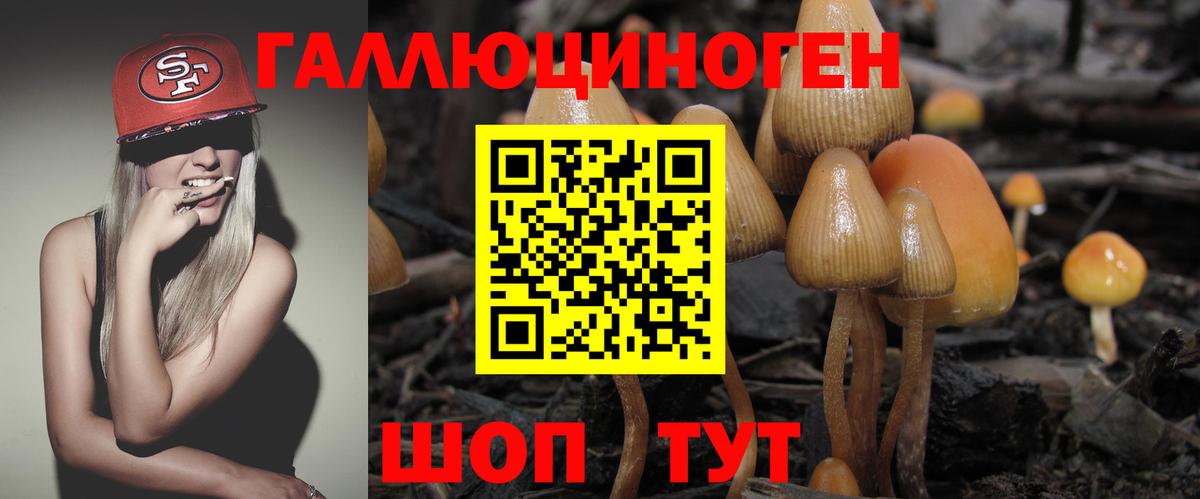 Галлюциногенные грибы прущие грибы Новочеркасск